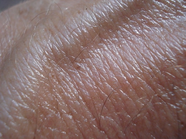 skin 49325 640